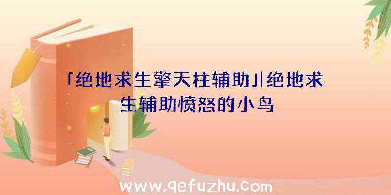 「绝地求生擎天柱辅助」|绝地求生辅助愤怒的小鸟
